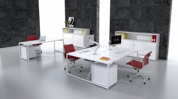 Ibis 5