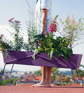 Planters & Pots