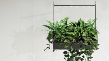 VerdeProfilo-Cloud-1