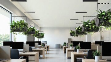 VerdeProfilo-Cloud-2