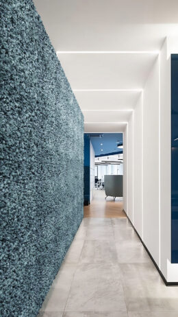 VerdeProfilo-MOSSwall-17