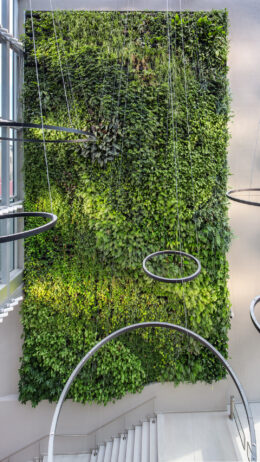 VerdeProfilo-VerticalGarden-14